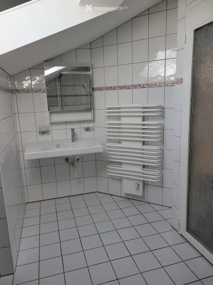 Charming 3.5-room attic apartment with balcony in Solothurn