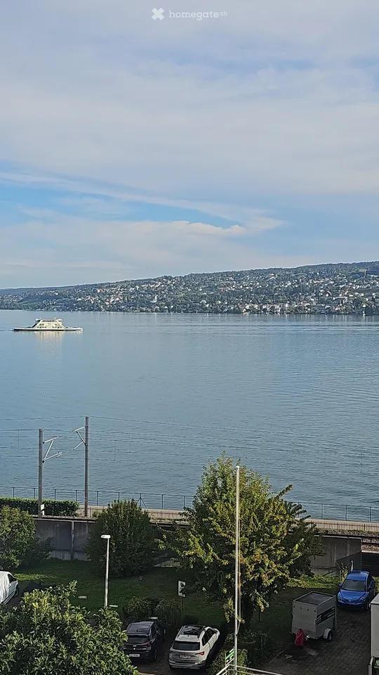 Affascinante appartamento di 4 camere su Seestrasse a Horgen. Limitato fino a circa 12.2028