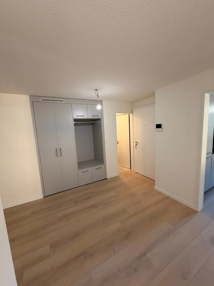 Modern 4.5-room apartment in Au – available immediately!