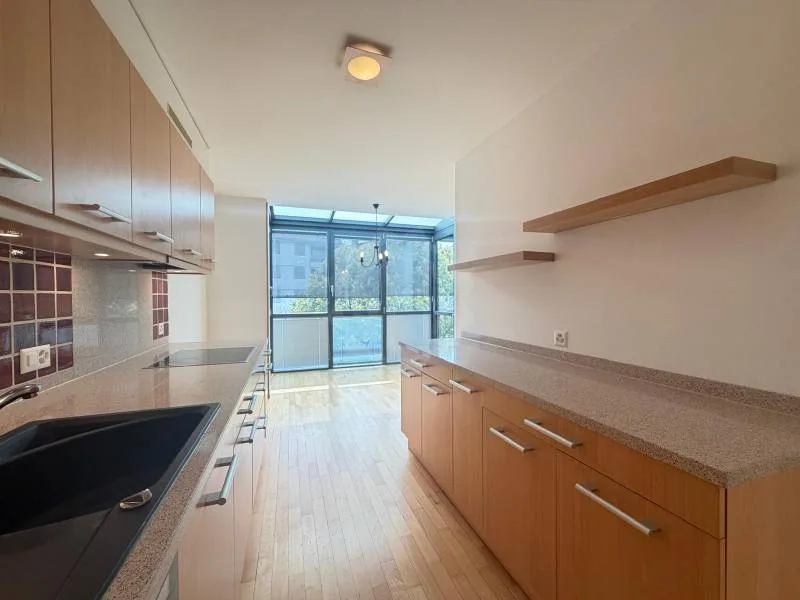 Appartement agréable - Nyon