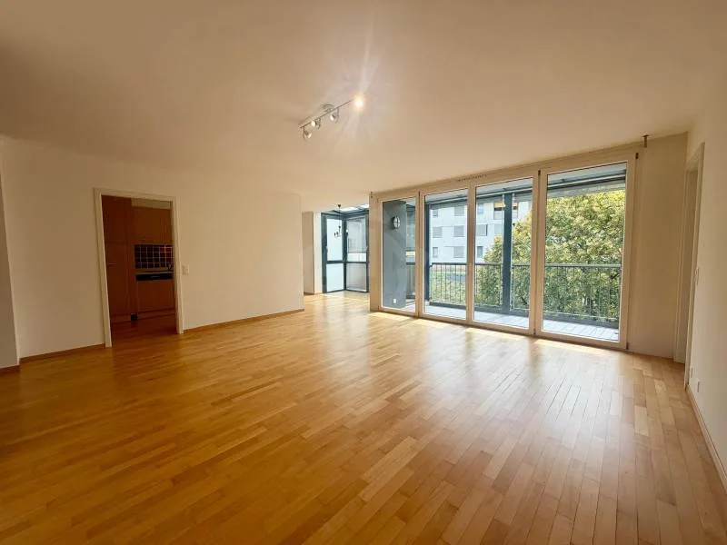 Appartement agréable - Nyon