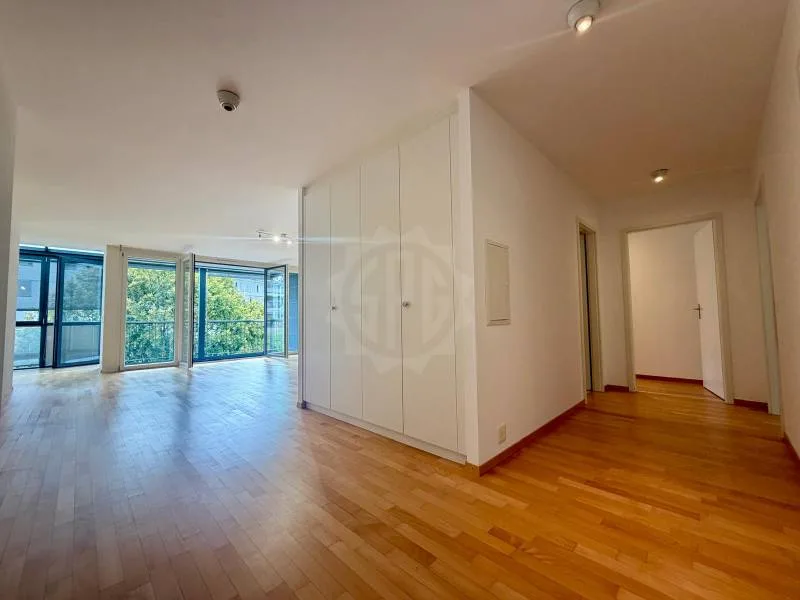Appartement agréable - Nyon
