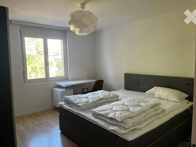 Per professionisti temporanei, single o pendolari: camera ammobiliata in condivisione a Bremgarten AG