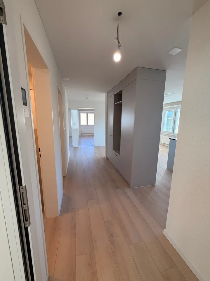Bright 3.5-room apartment with balcony and fireplace in Au SG