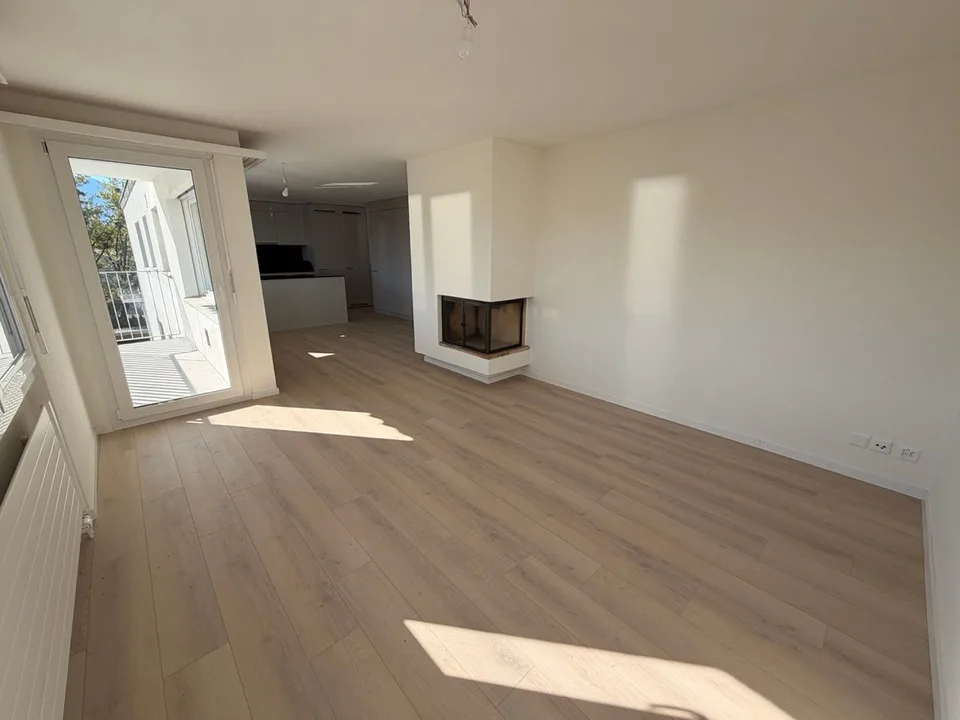 Bright 3.5-room apartment with balcony and fireplace in Au SG