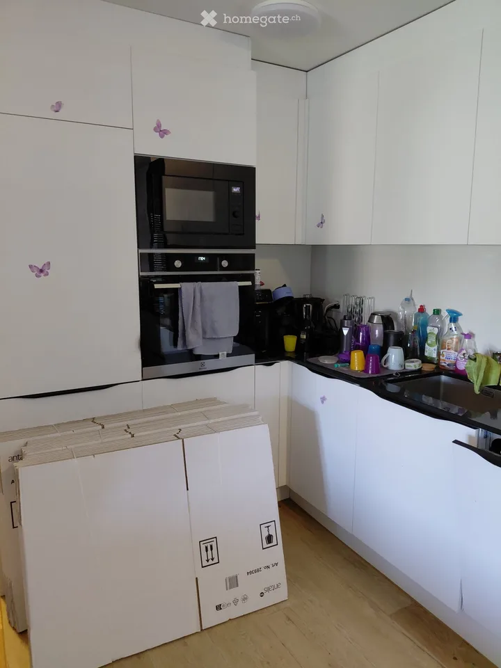 Beautiful 3.5 room apartment in Rothrist