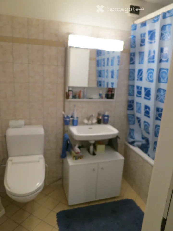 Appartement 3.5 pièces avec vue imprenable
