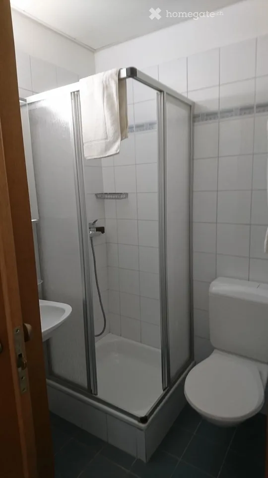 Appartement pour occupation simple à Brissago