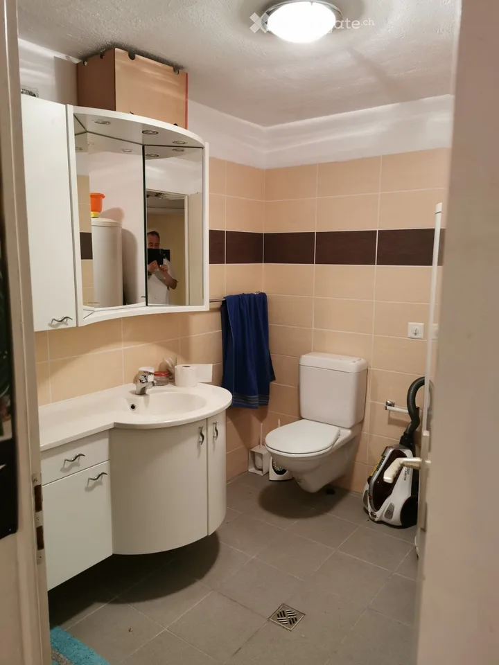 Luganais, location d'espace de showroom, entrepôt