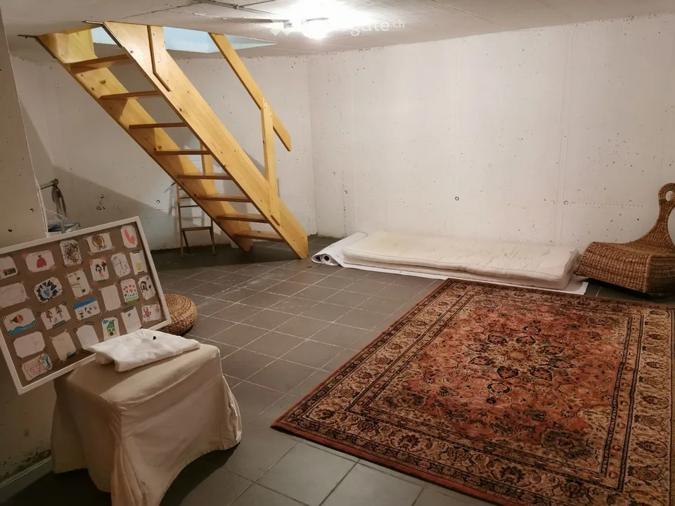 Luganais, location d'espace de showroom, entrepôt