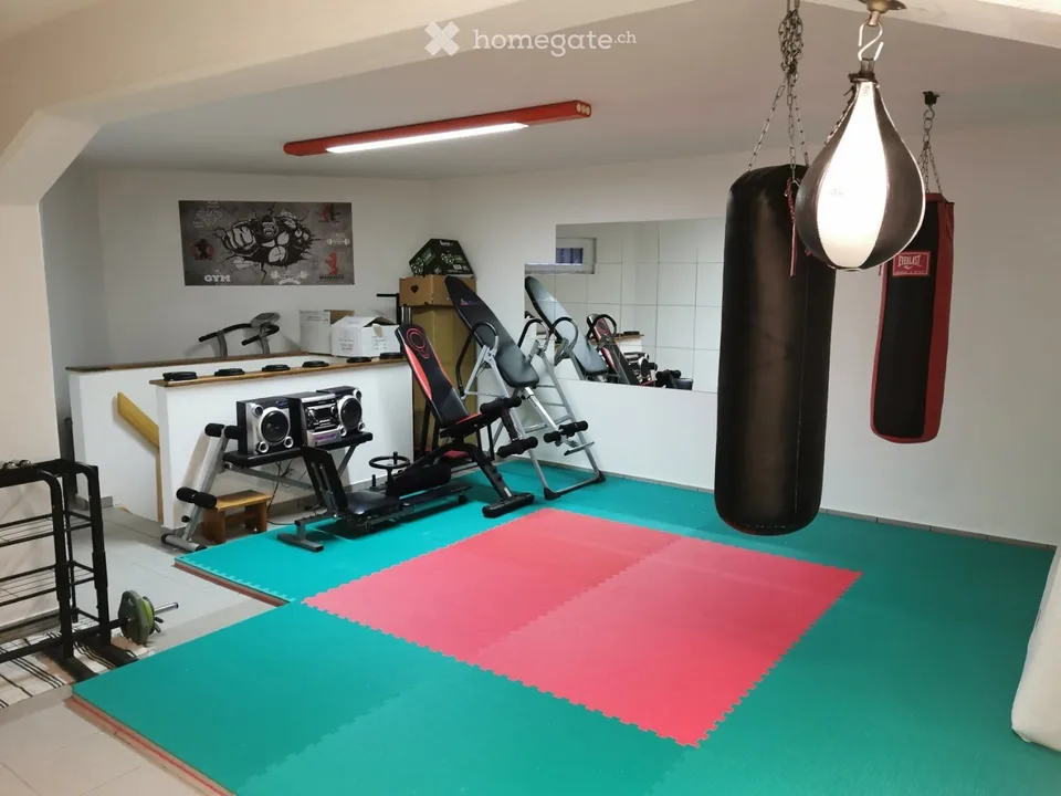 Luganais, location d'espace de showroom, entrepôt
