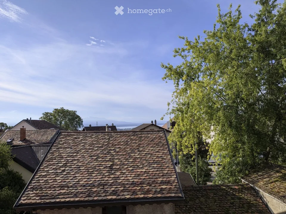 Beautiful 5-room duplex apartment in a quiet village