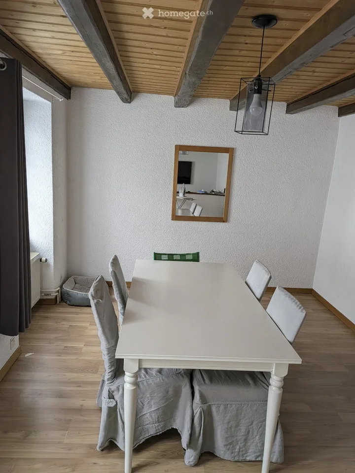 Beautiful 5-room duplex apartment in a quiet village