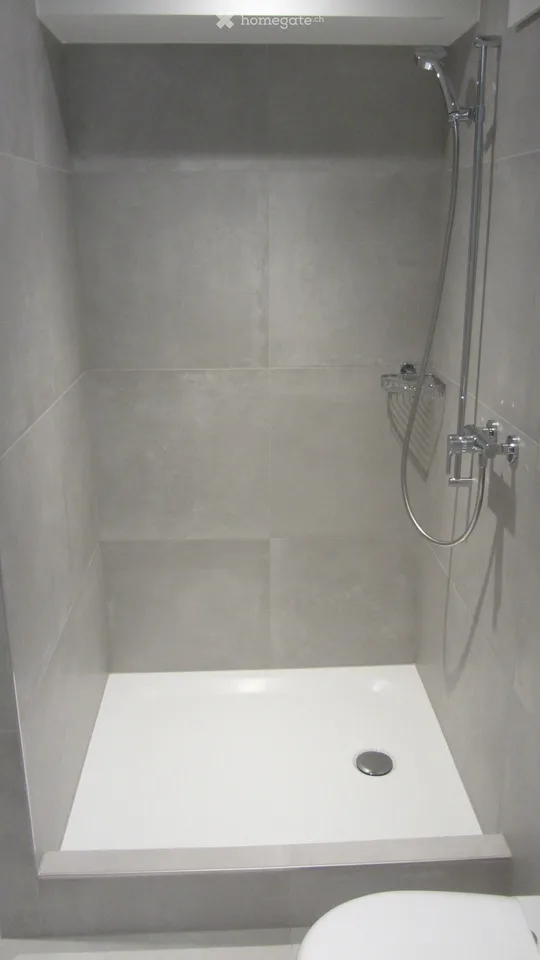 Appartement de 4 pièces rénové à Brislach
