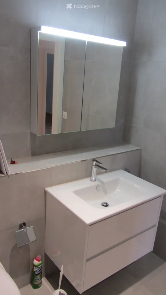 Appartement de 4 pièces rénové à Brislach