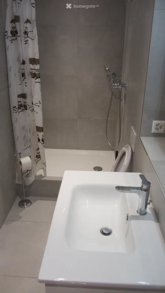 Appartement de 4 pièces rénové à Brislach