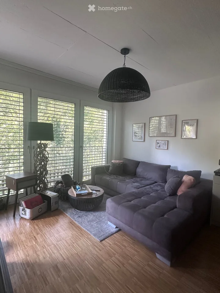 Appartamento moderno 2.5 locali con balcone e bella vista a Effretikon