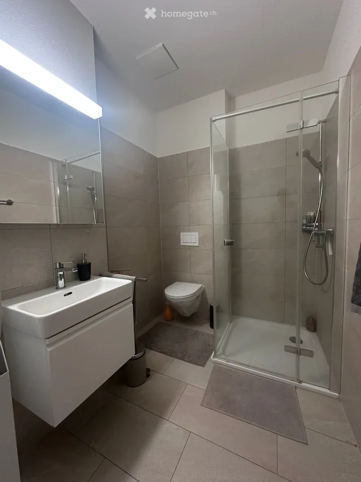 Appartamento moderno 2.5 locali con balcone e bella vista a Effretikon