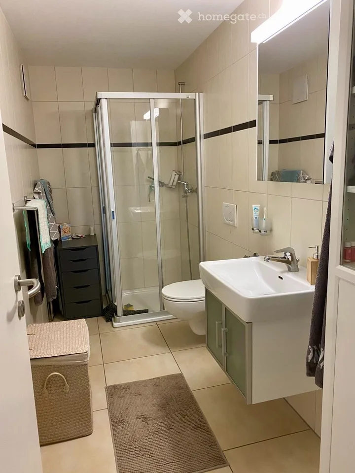 Schöne, helle 2.5 Zimmer-Wohnung per 1.12.26 oder n. Vereinbarung