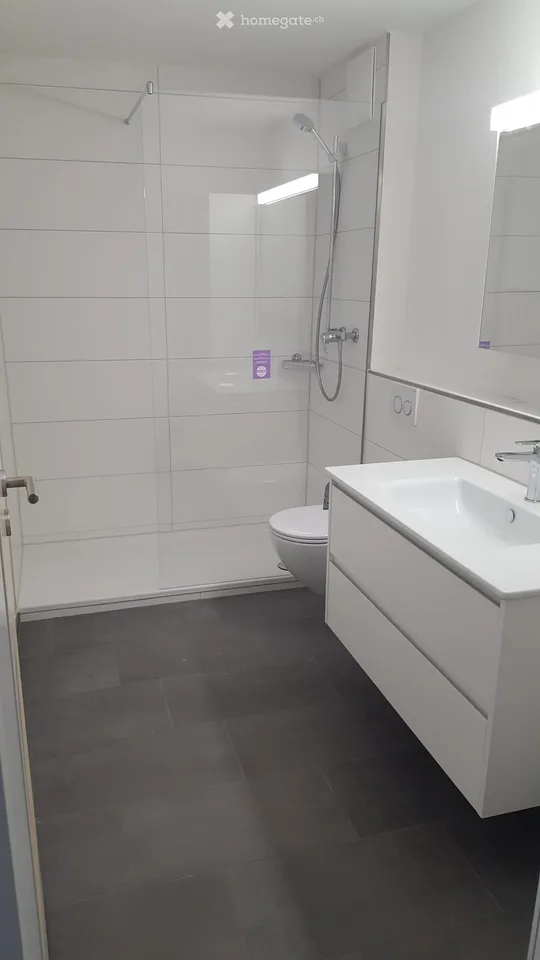 Bright modern 3.5-room apartment with balcony in Bachs