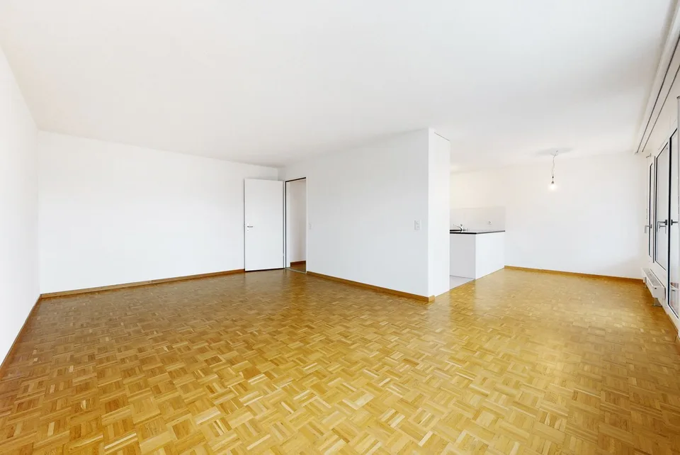 Grosszügige Wohnung nähe Limmat