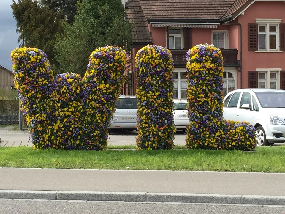 Zentraler Parkplatz im Freien in Wil SG – Foto 2 von 2