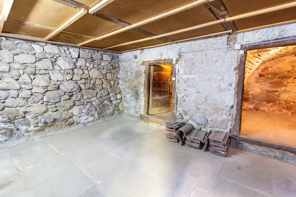 Saint-Gingolph - belle bâtisse avec appartement indépendant – photo 16 sur 36