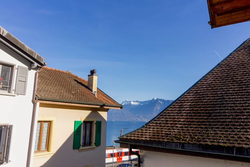 Saint-Gingolph - belle bâtisse avec appartement indépendant – photo 19 sur 36