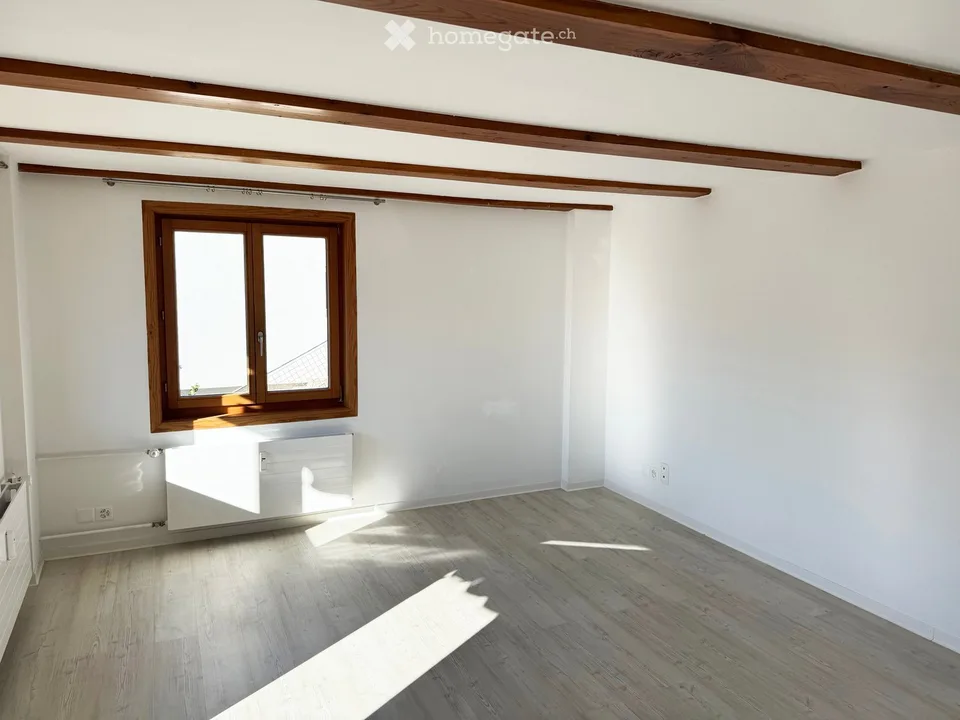 Appartamento 4.5 locali | Panorama, balcone, terrazza | Sauna | Elettricità & WLAN inclusi | Arredamento possibile