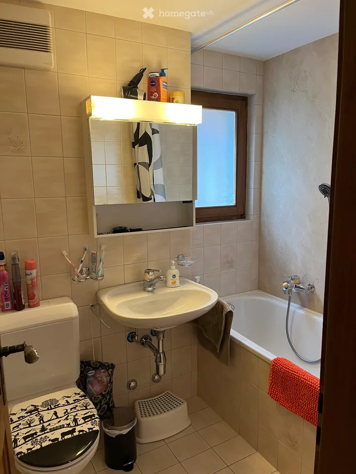 2.5 rooms for rent per week in Haute Nendaz