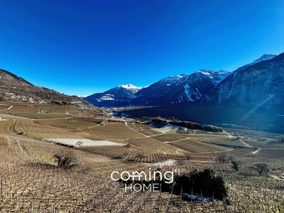 Exclusive 3-family house in a sunny location - spacious living areas & garages – photo 12 of 16