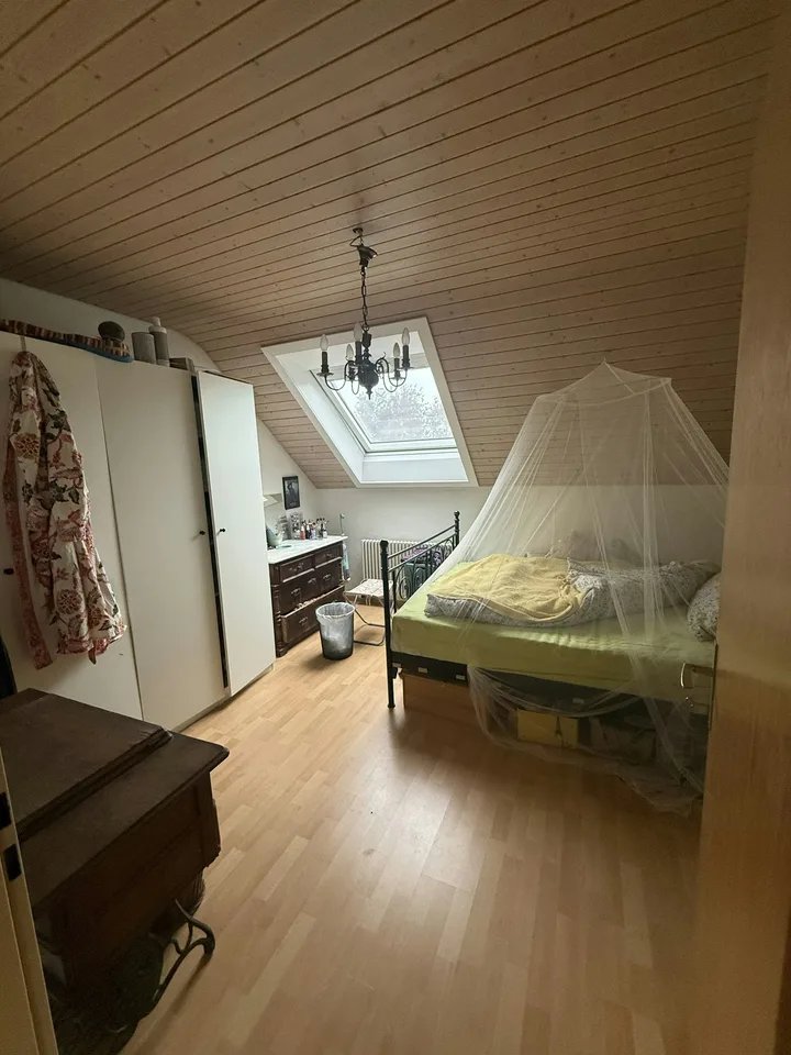 Grosse Dachwohnung mit Charme
