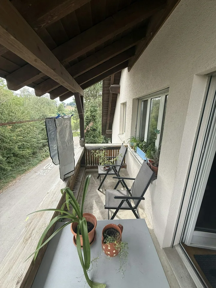 Grosse Dachwohnung mit Charme