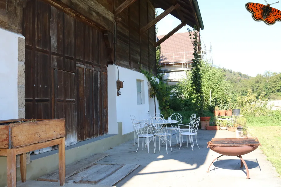 3½ LOCALI - CONTESTO IDILLIACO
