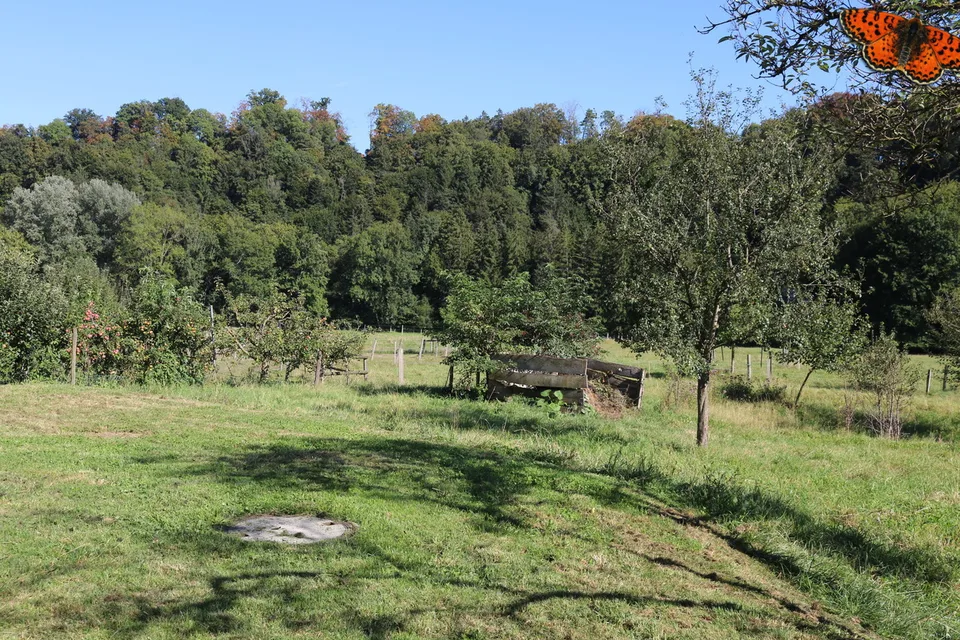 3½ LOCALI - CONTESTO IDILLIACO