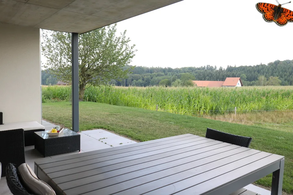 3 ½ PIECES - With a terrace!