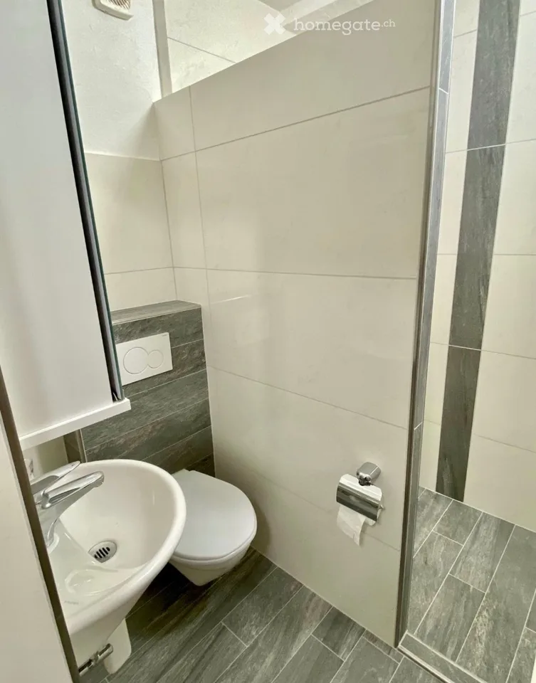 Ab SOFORT Frei möblierte 1 Zi Wohnung in Mauren TG