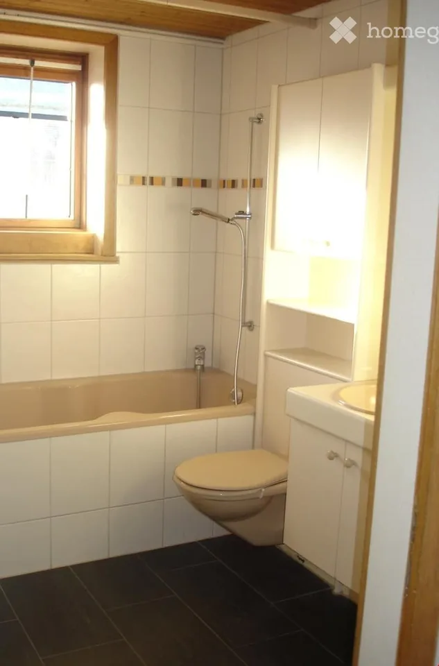 4.5 room apartment on the ground floor, large and bright