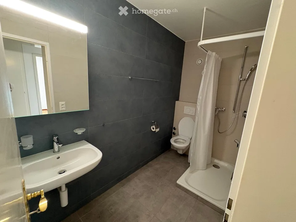 Wohnung 3,5 Zimmer
