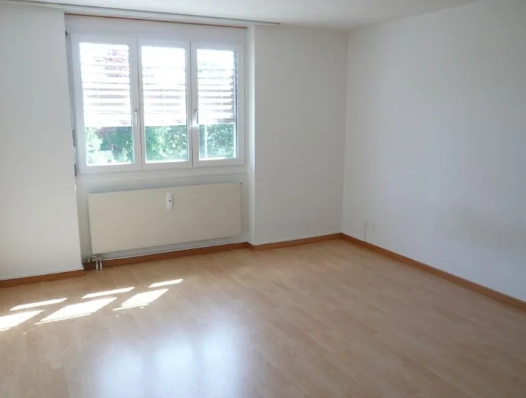2.5 Zi.-Dachwohnung mit grosser Terrasse
