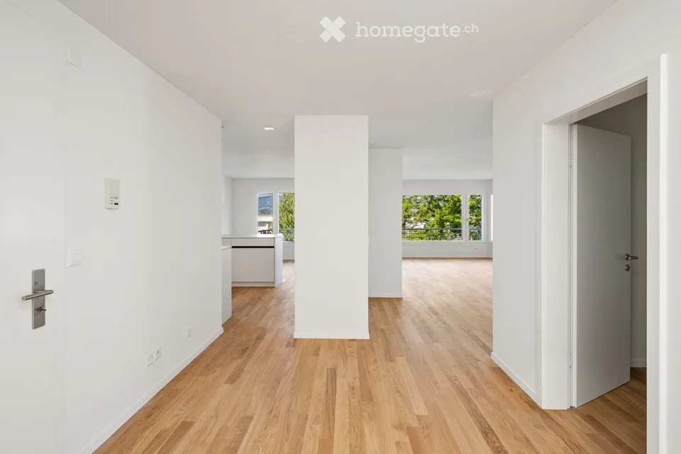 Erstbezug nach Totalsanierung – 4.5-Zimmer-Wohnung mit See- und Alpensicht