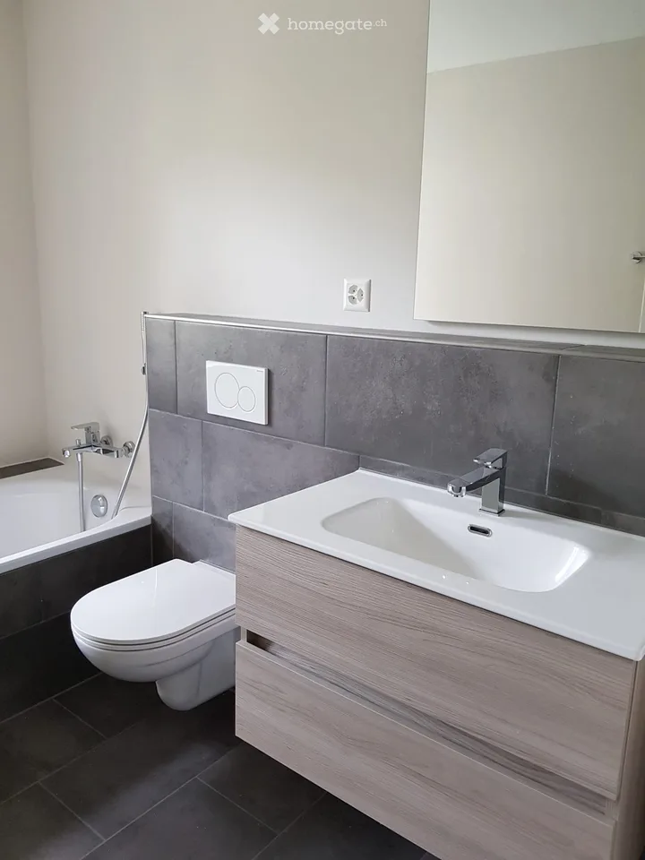 Recherche de sous-locataire pour appartement 4.5 pièces à partir du 01.11.2026