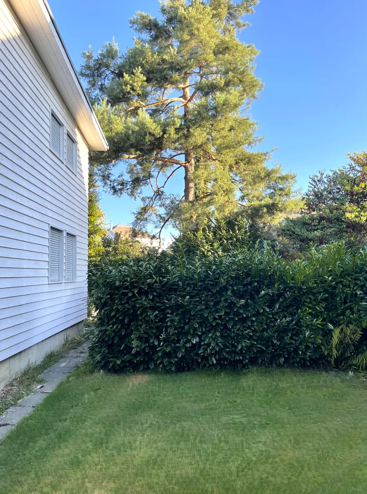 Zwei bis drei Wohneinheiten – Foto 6 von 13