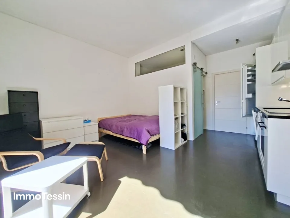 Prix Top & Résidence Secondaire : Appartement de Vacances Rénové dans un Emplacement Idéal avec Vue sur le Lac et à Proximité de la Promenade de Locarno – photo 9 sur 13