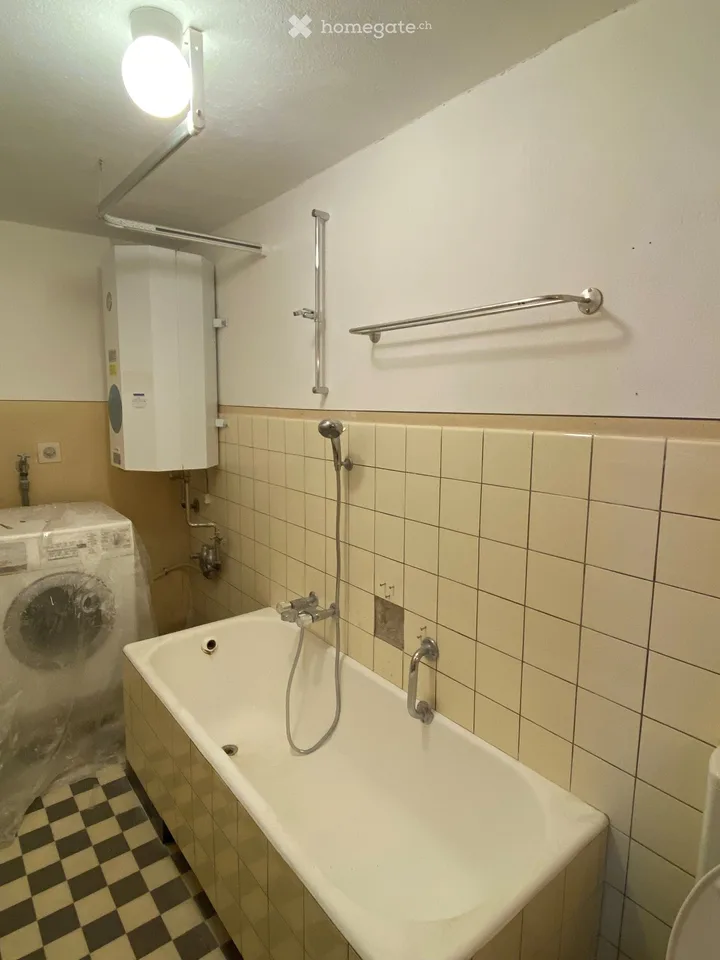 Charmantes 5.5-Zimmer-End-Einfamilienhaus in Arboldswil