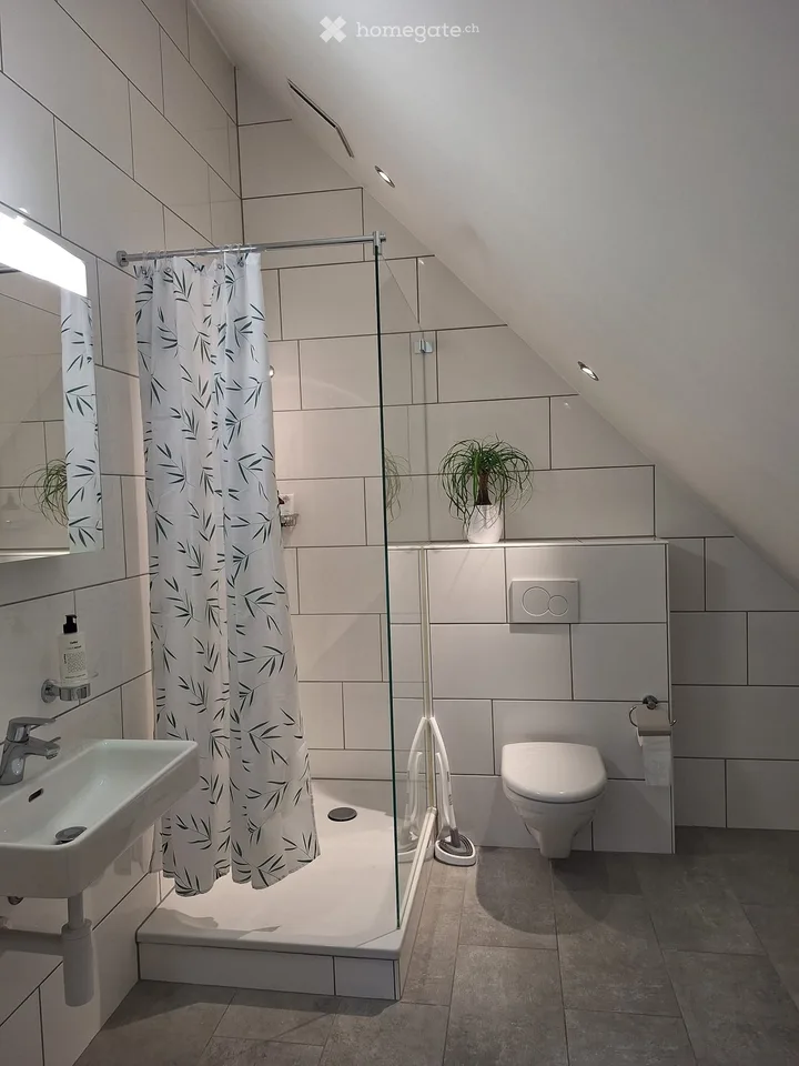 Wunderschöne 2.5-Zimmer-Dachwohnung im Herzen von Dietikon