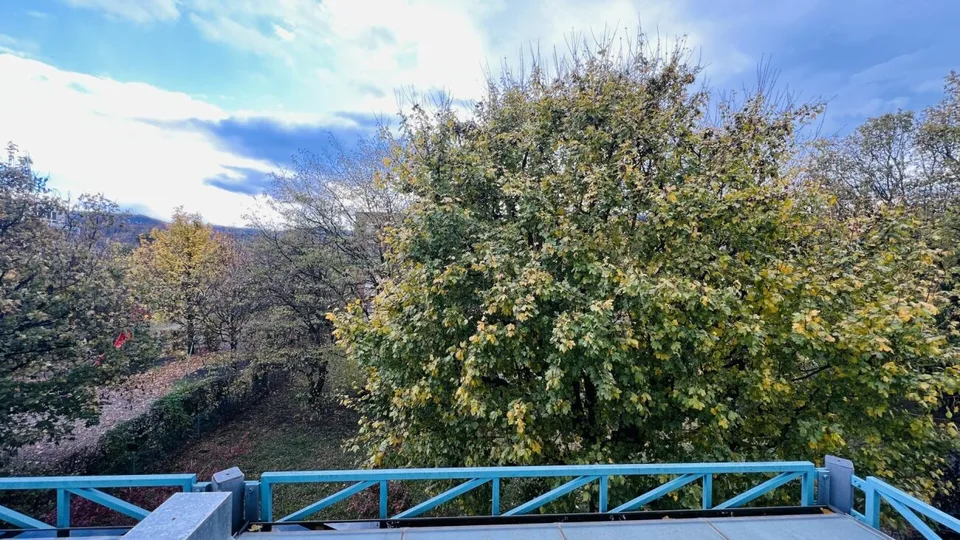 Appartamento di 2 camere attraente con ascensore, posti auto sotterranei e più ad Aesch - Ideale per gli investitori e i single – foto 8 di 15
