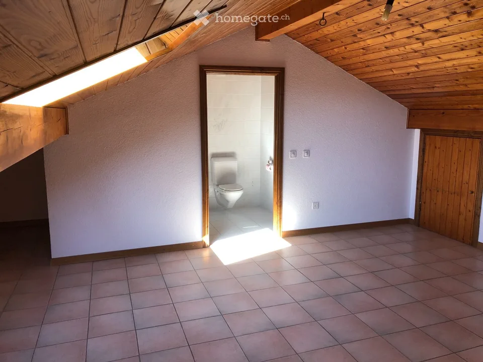 Grand appartement lumineux de 6.5 pièces