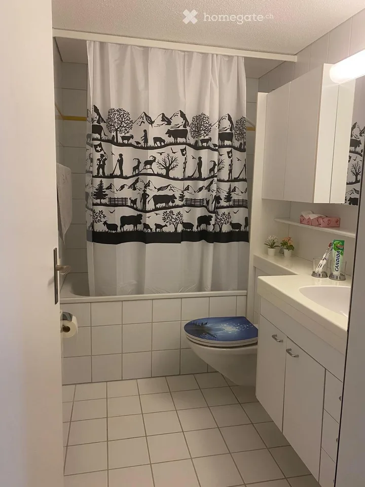 Well-maintained apartment with balcony and underground parking space