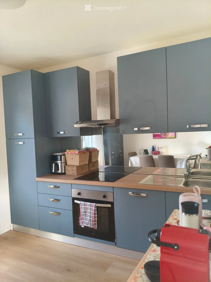 Cercasi subentrante urgente 2.5 locali a Lamone (Lugano)